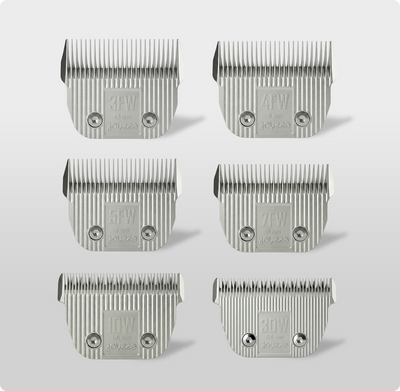 Wide Blades Set | 6-Piece