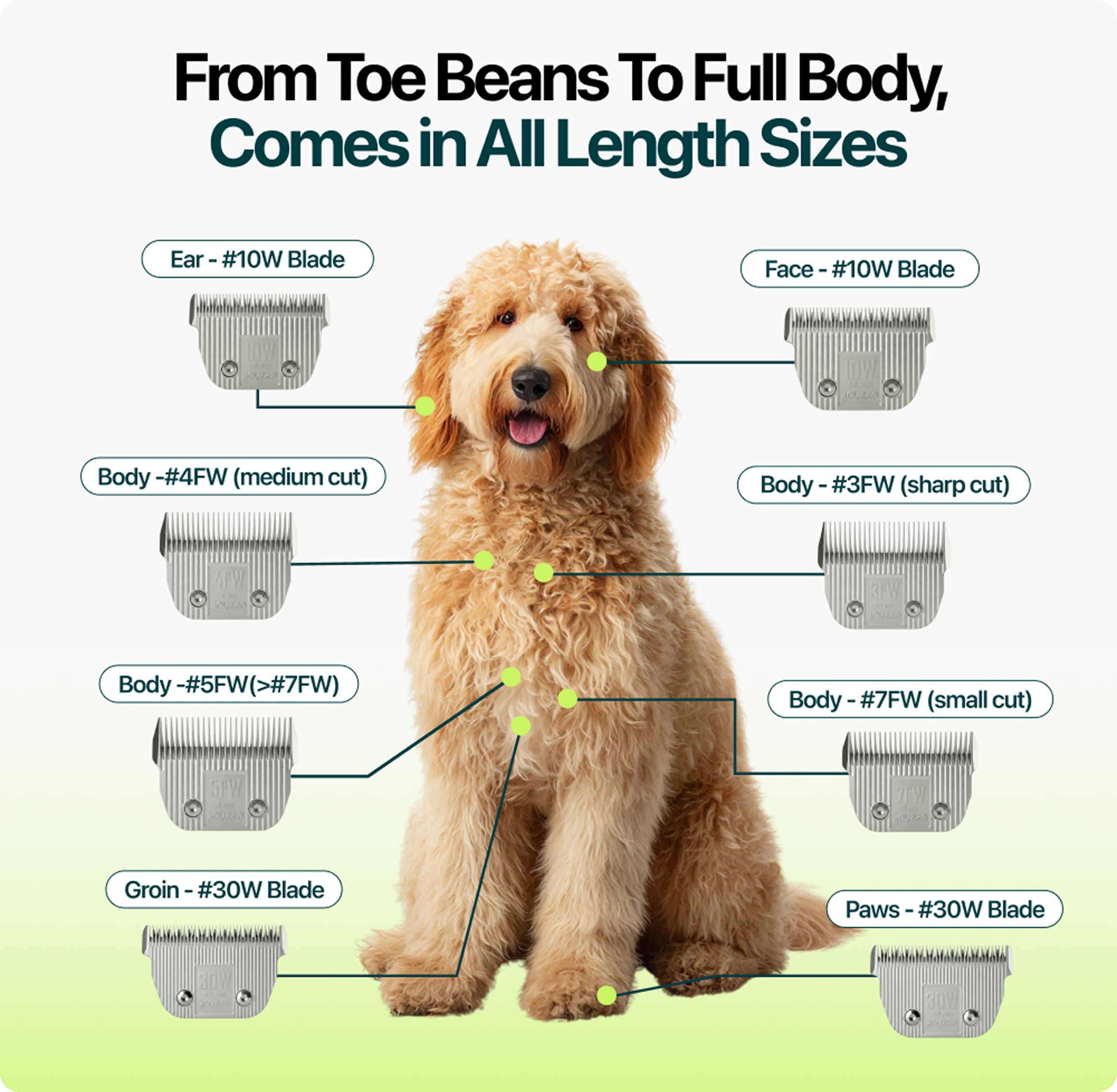 Joyzze™ A-Series Blades | Wide
