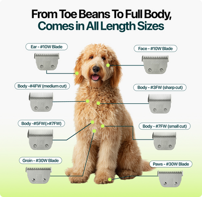 Joyzze™ A-Series Blades | Wide